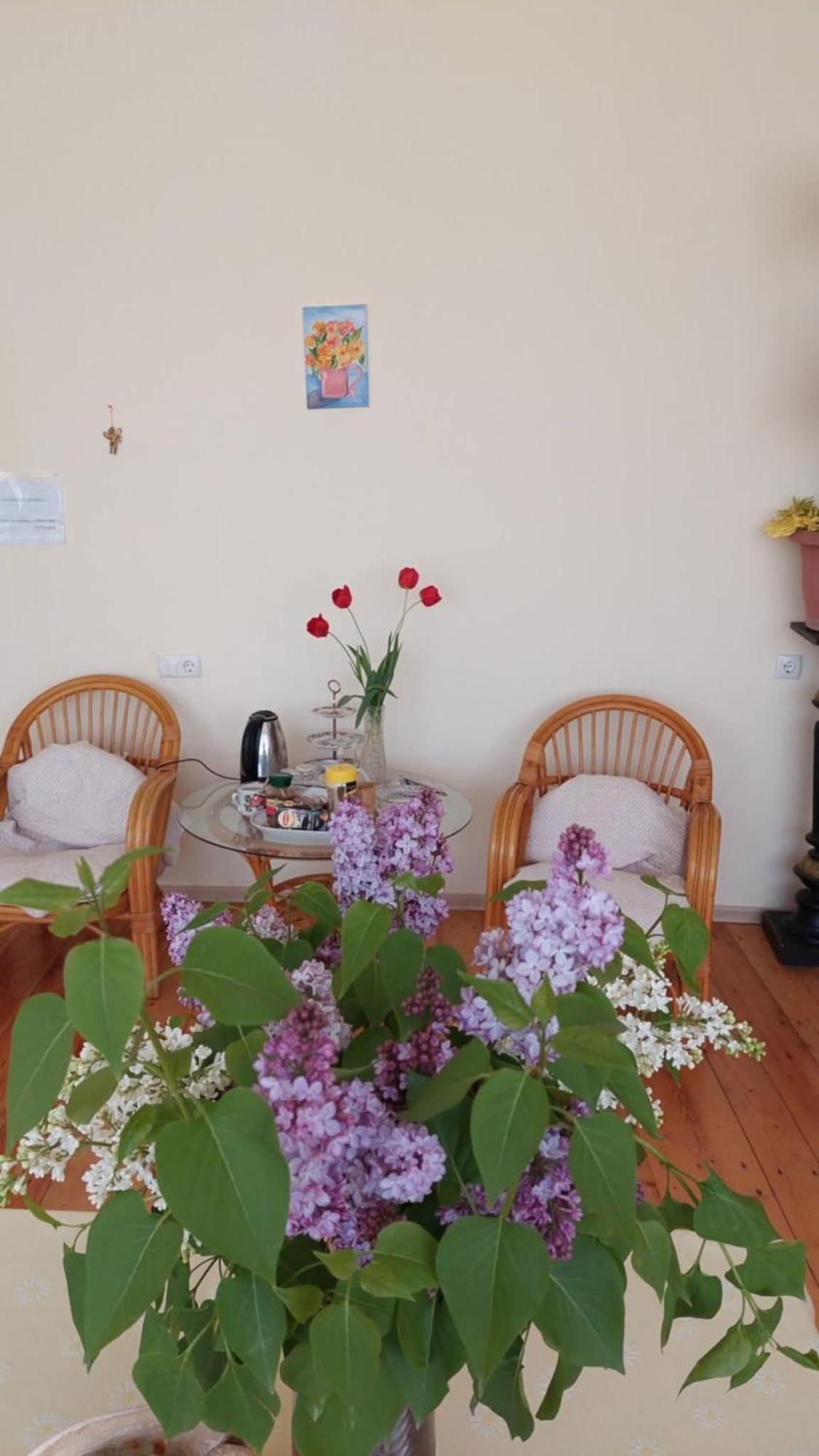 Guesthouse "Door" In Sighnaghi Exterior photo
