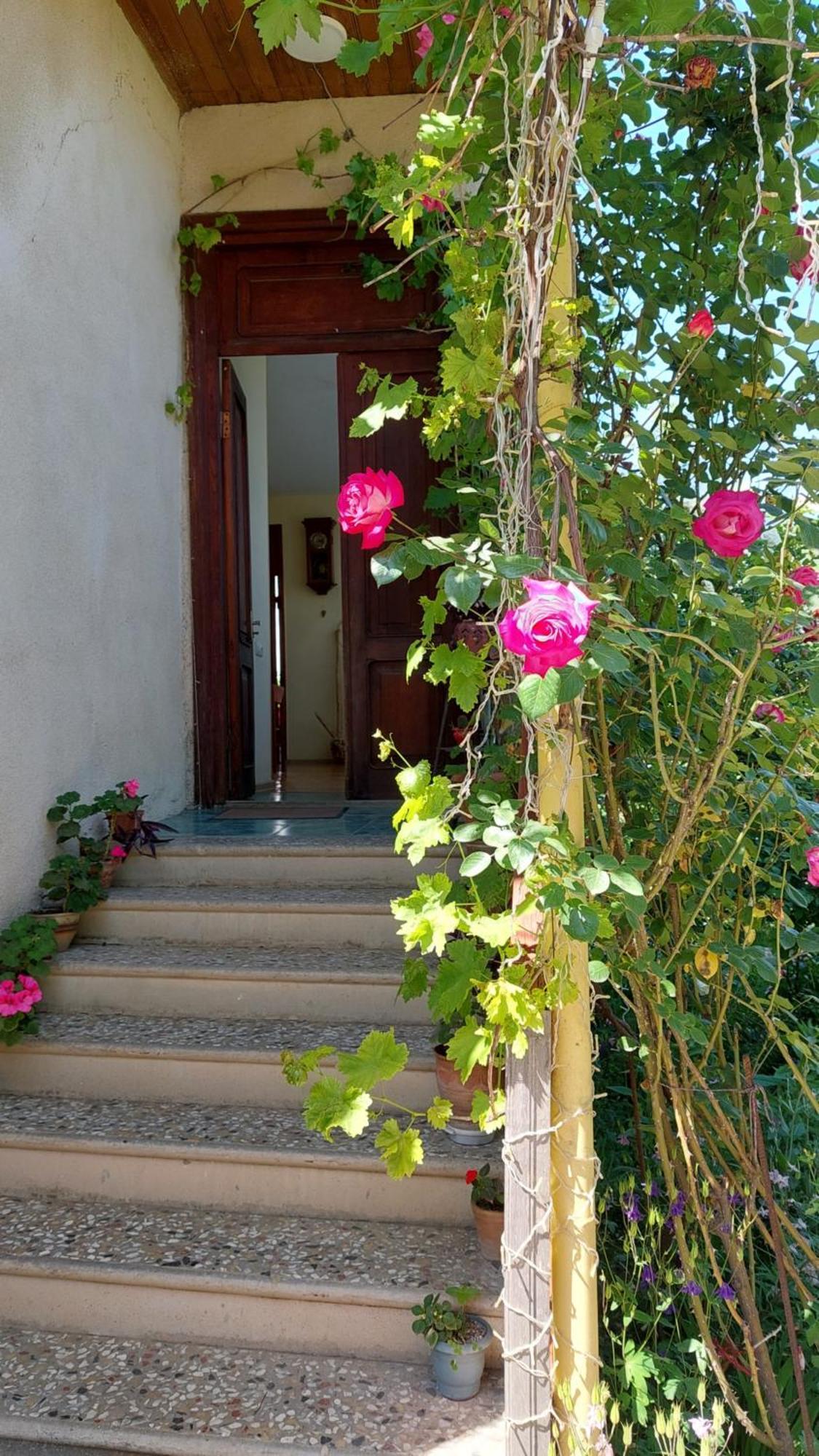Guesthouse "Door" In Sighnaghi Exterior photo